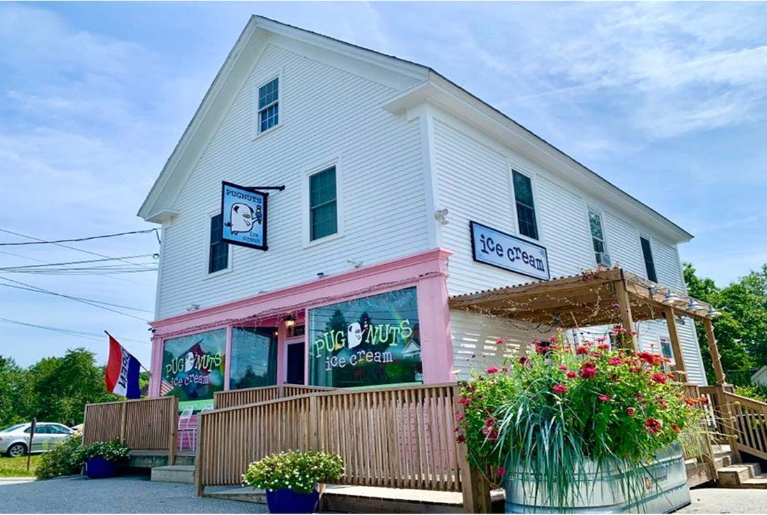 Pugnuts Ice Cream & Gelato exterior shot